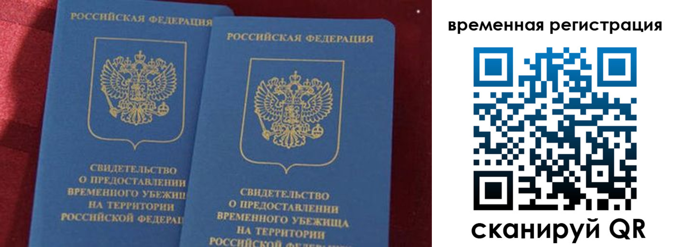 временная регистрация гарантия в Александрове